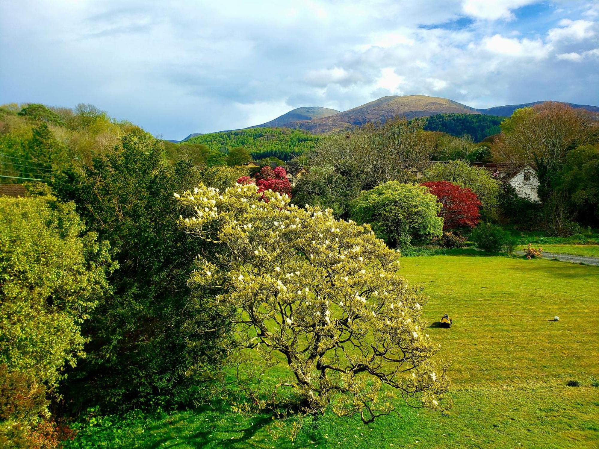 Bryansford Cottage 외부 사진